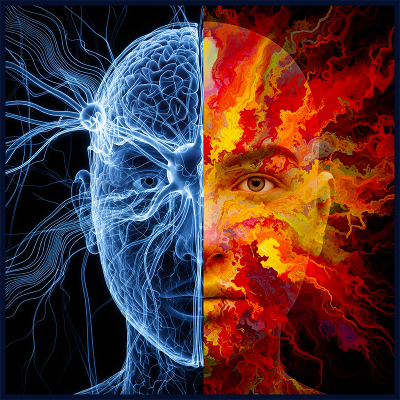 Illustration symbolique d’un visage divisé en deux : moitié gauche en circuits neuronaux bleus, moitié droite en textures chaudes et colorées représentant les émotions.